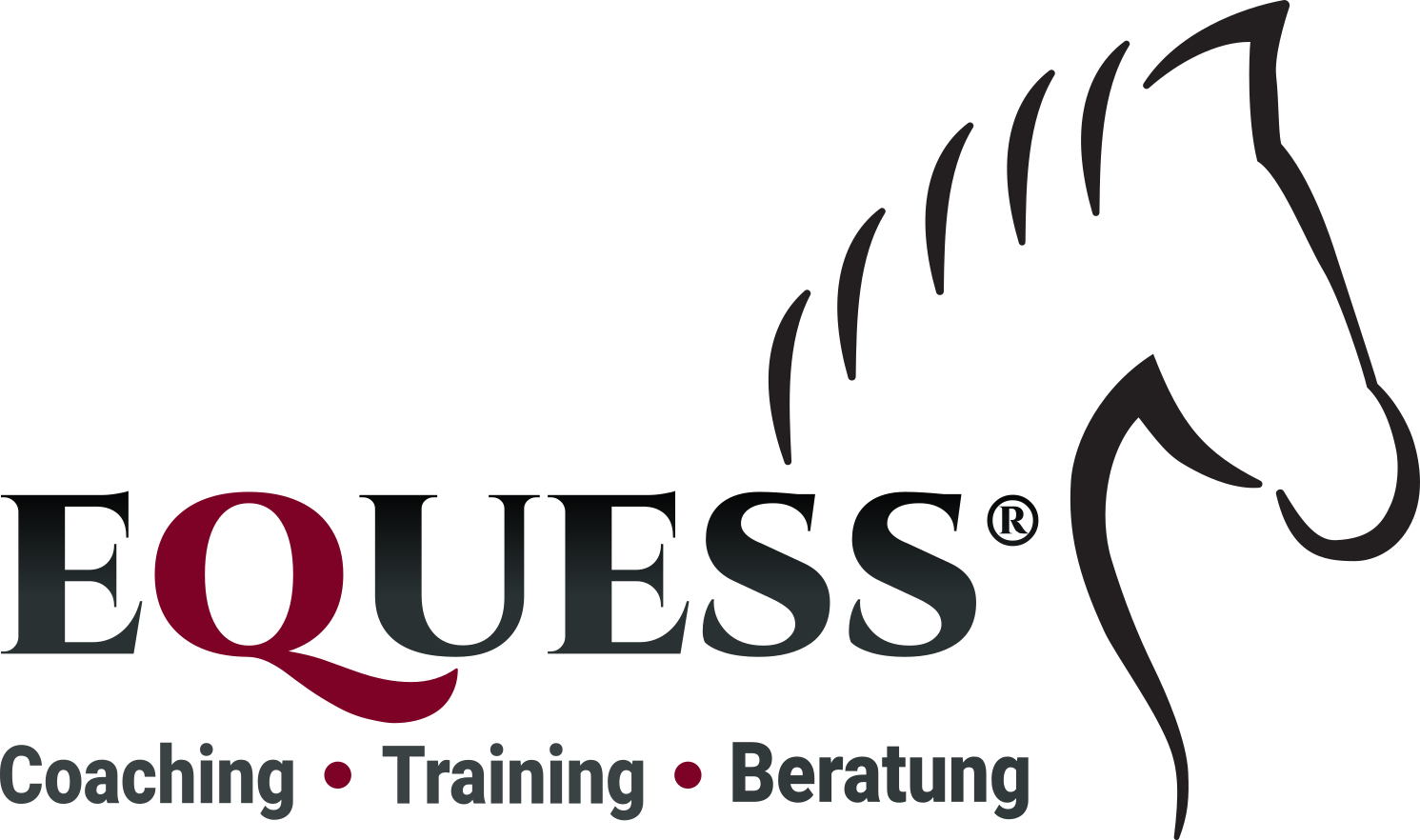 Equess - Coaching Training Beratung