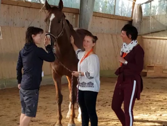 Teambuilding bei Equess